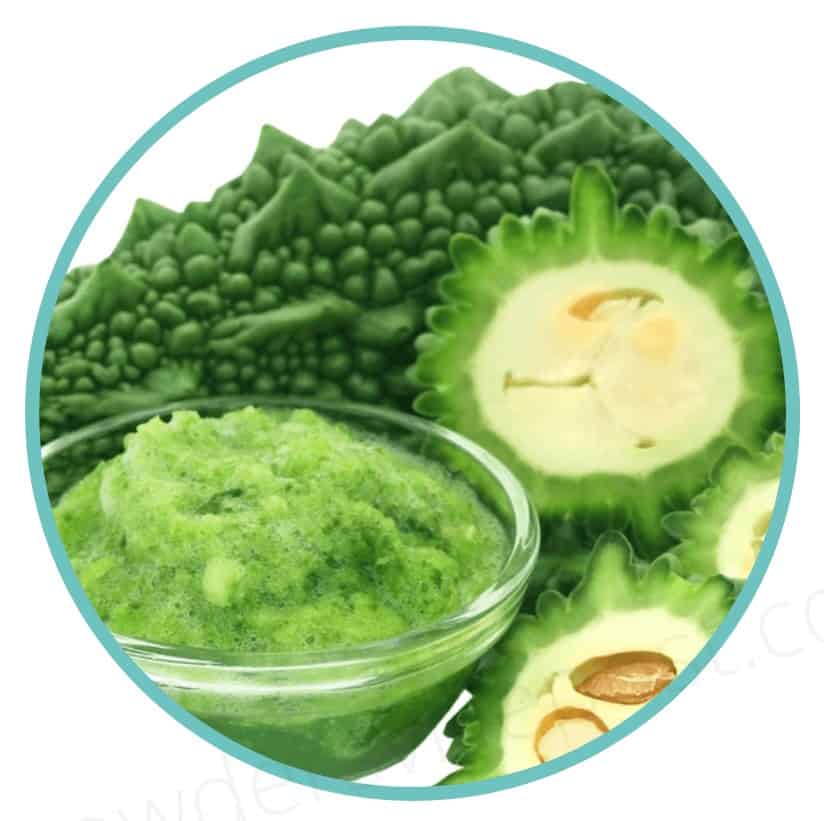 Nutraville Amyl Guard Ingredient Bitter Melon Extract