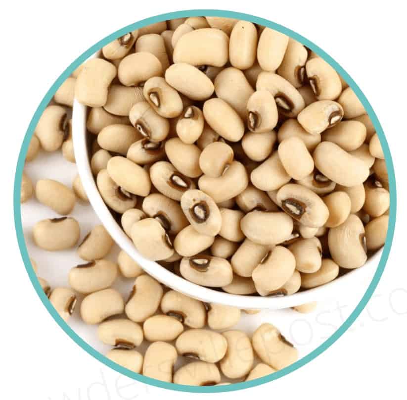 Nutraville Amyl Guard Ingredient White Kidney Bean