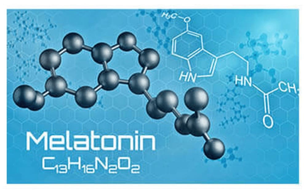 Primal Labs Sleep Refined Ingredient Melatonin
