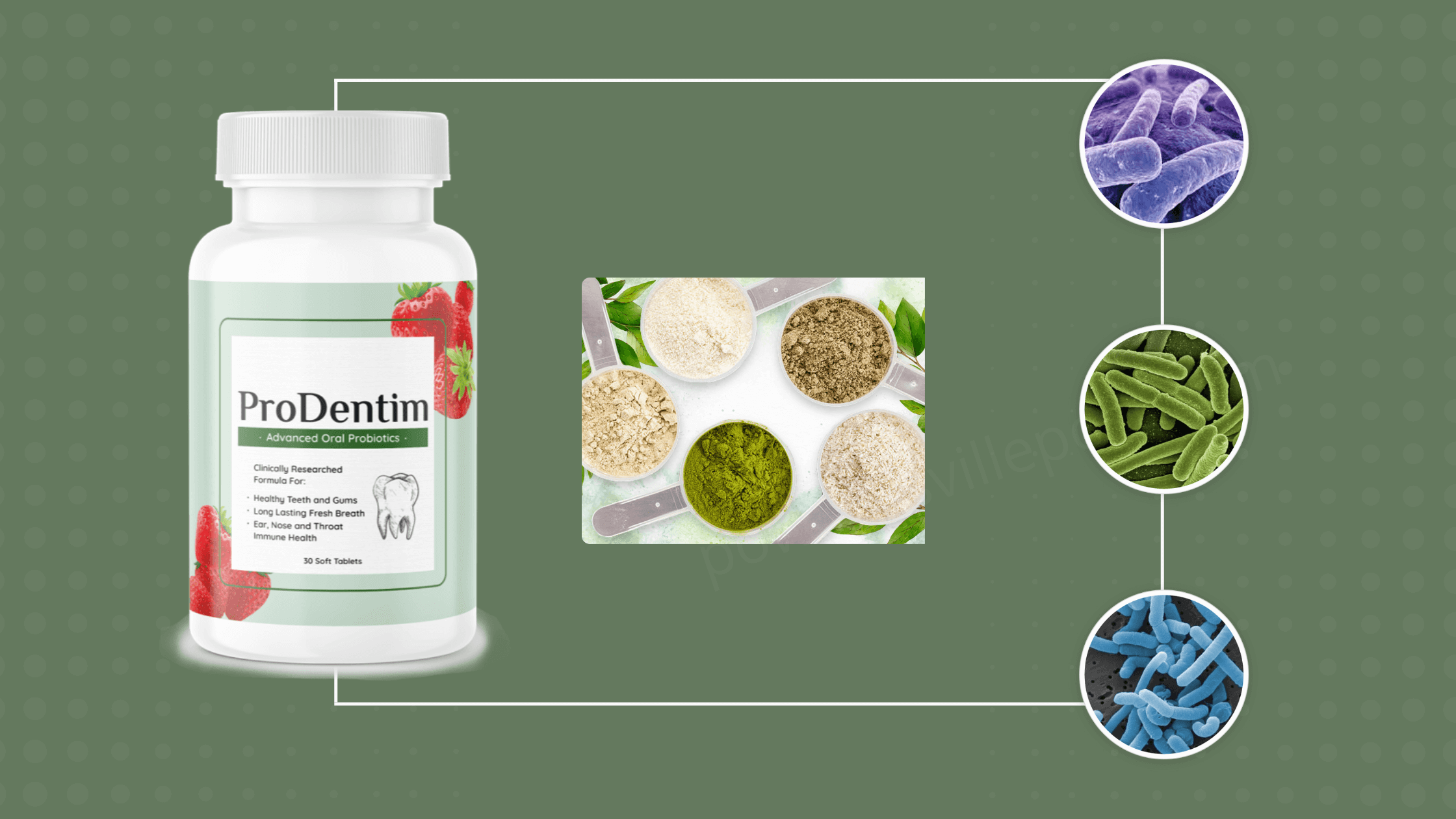 ProDentim Ingredients