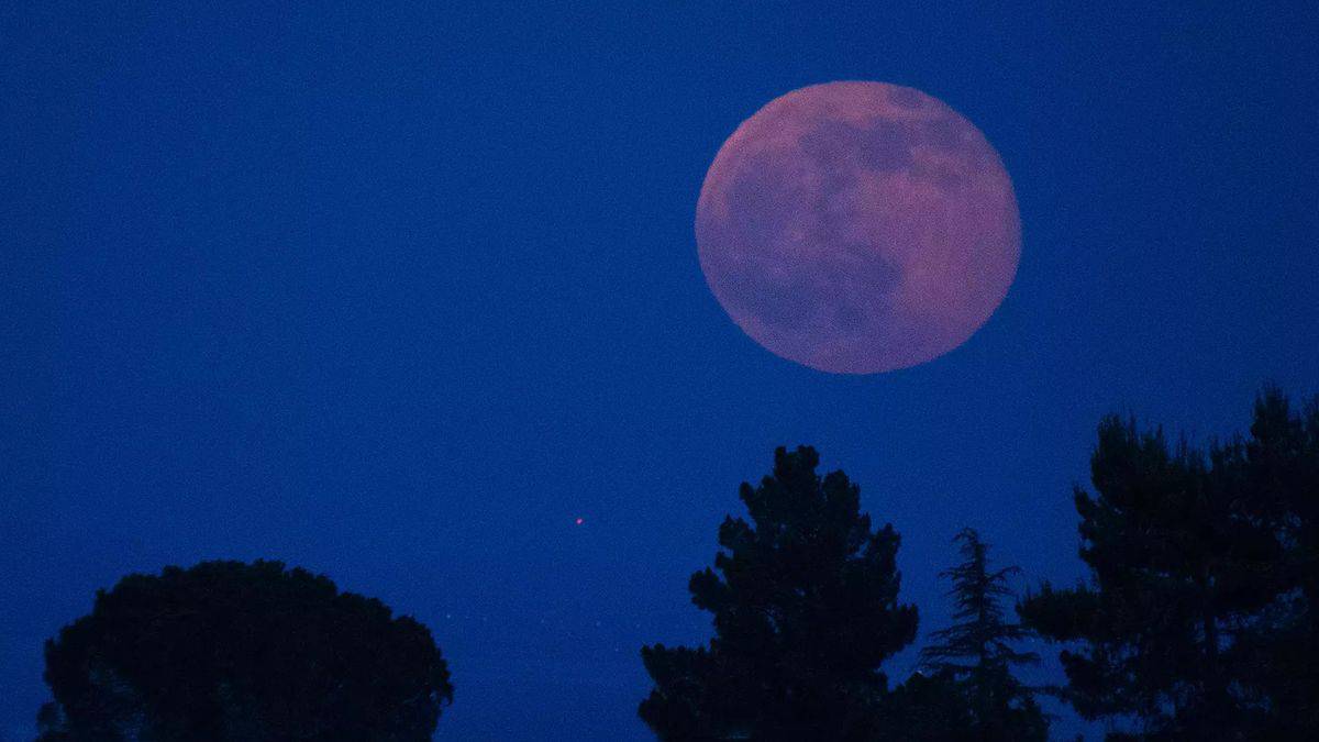 Supermoon 2022 When And How To Watch Strawberry Moon And Other Details