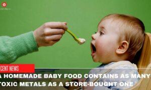 A Homemade Baby Food Contains As Many Toxic Metals As A Store-Bought One