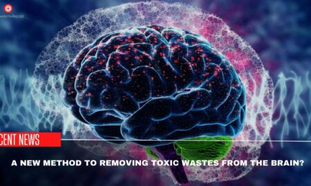 A New Method To Removing Toxic Wastes From The Brain