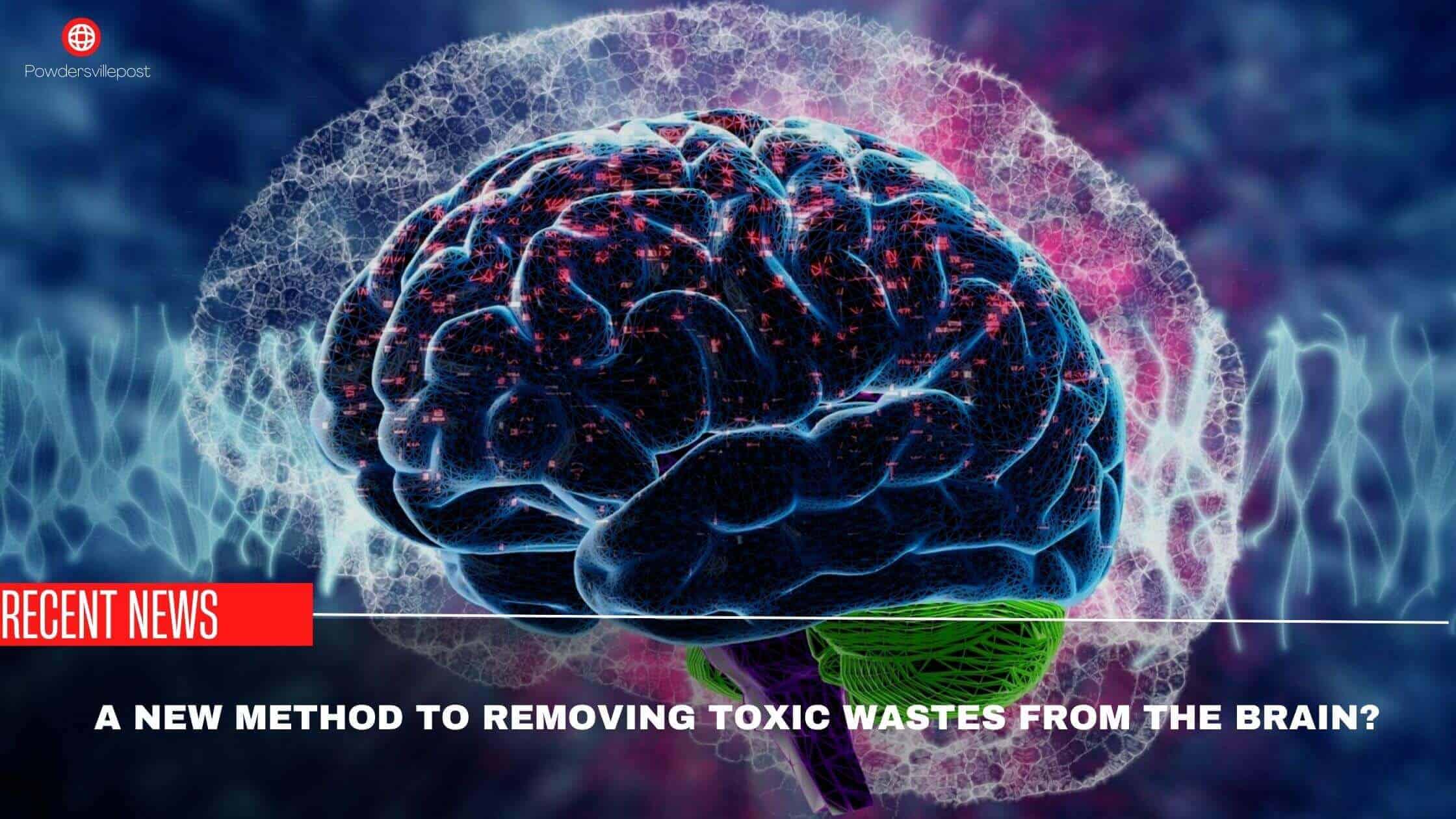 A New Method To Removing Toxic Wastes From The Brain
