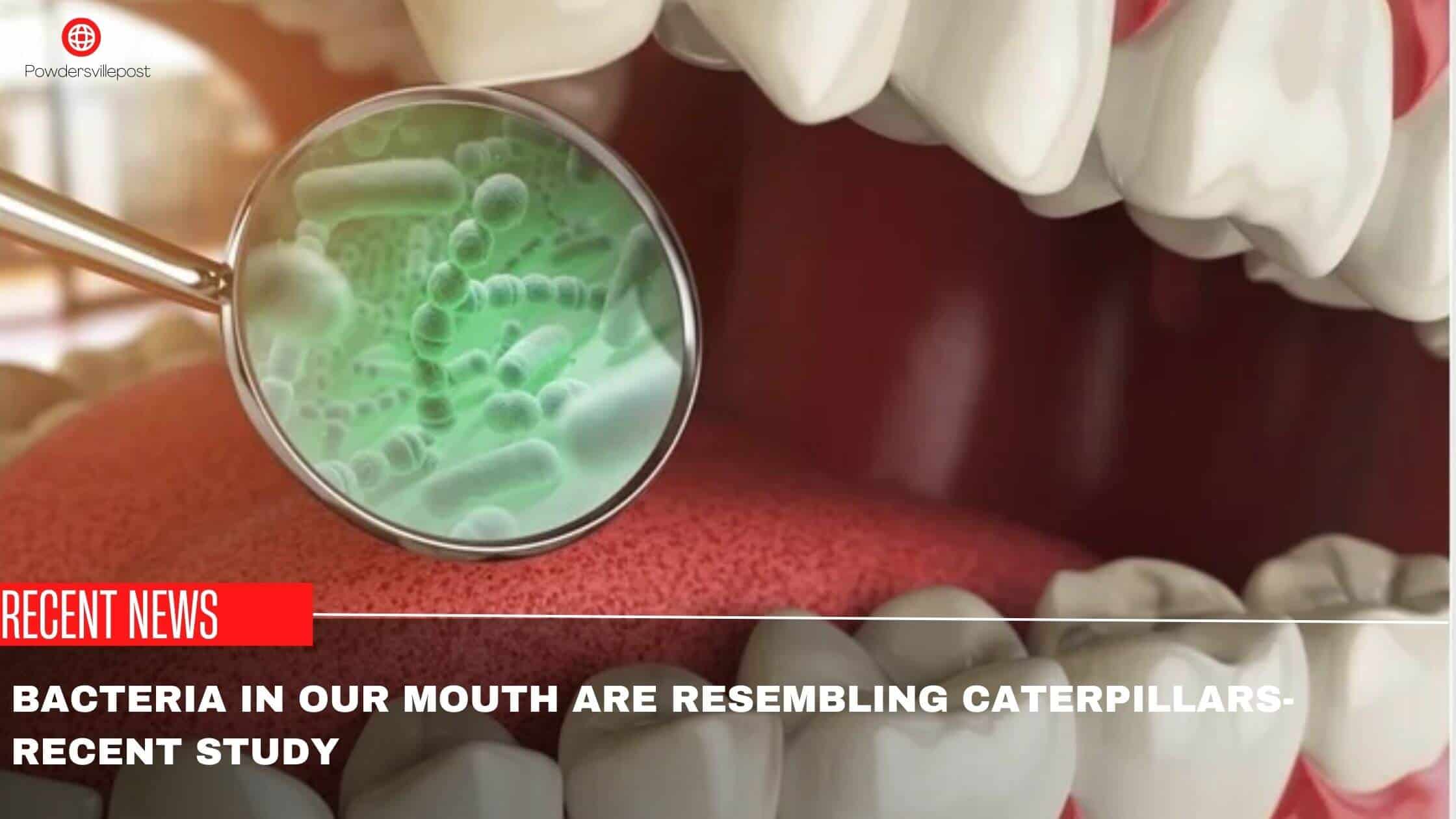 Bacteria In Our Mouth Are resembling caterpillars-Recent Study