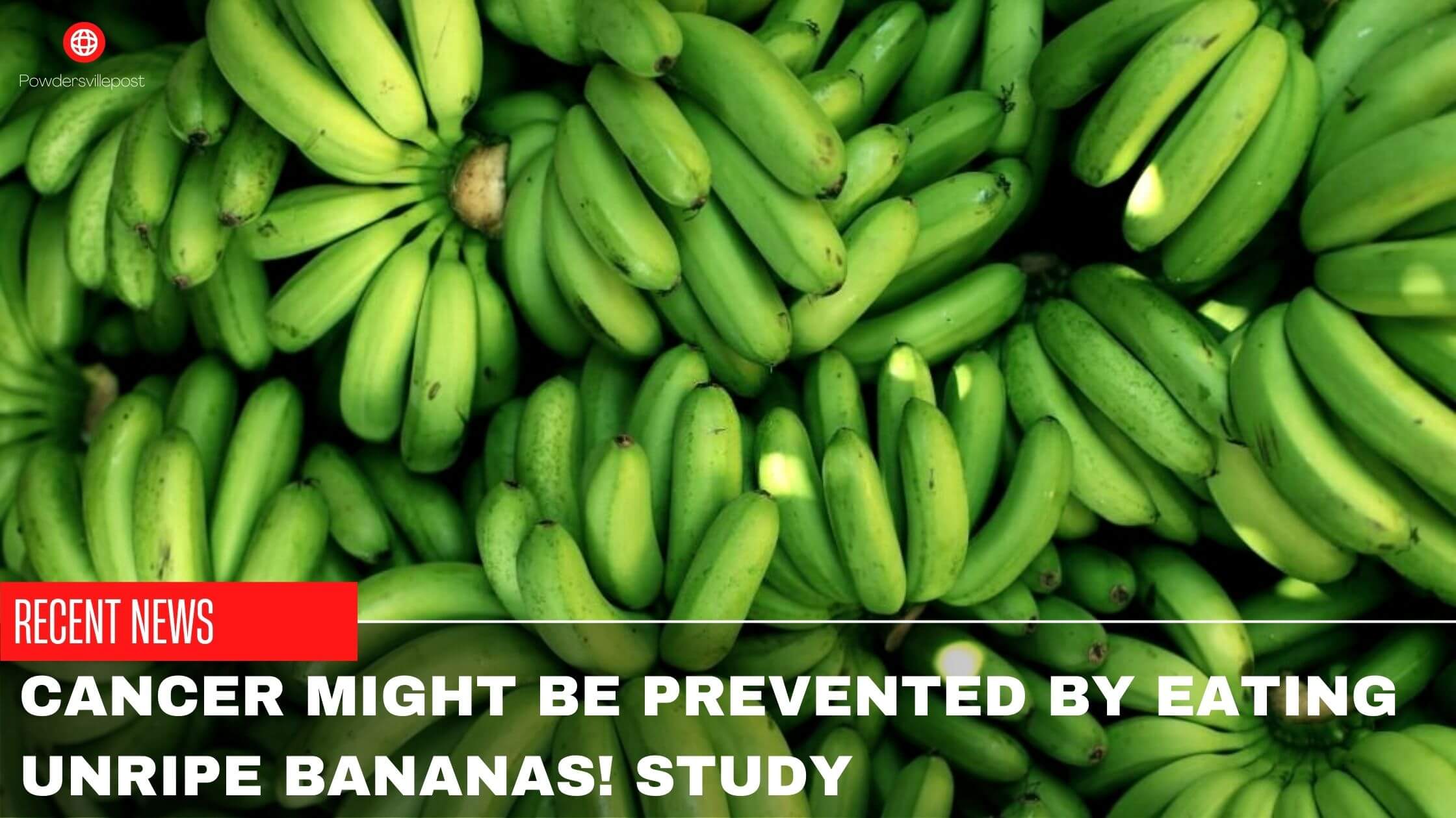 Cancer Might Be Prevented By Eating Unripe Bananas! Study