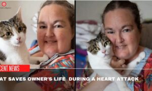 Cat Saves Owner's Life During A Heart Attack.