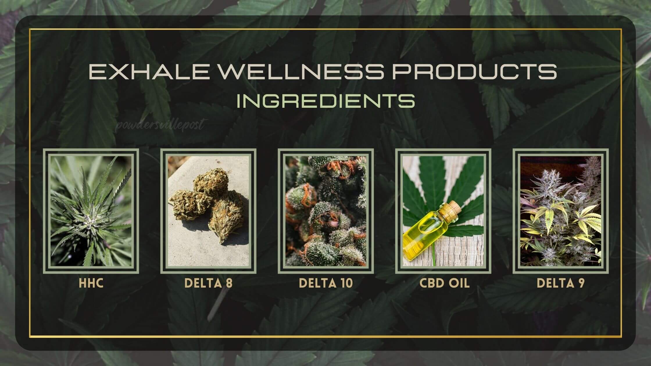 Exhale Wellness Ingredients