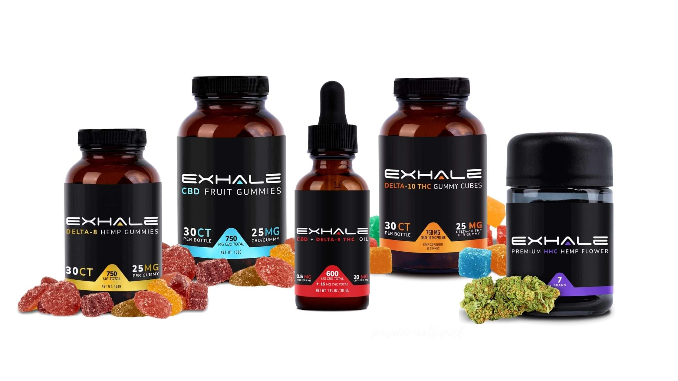 Exhale Wellness Review