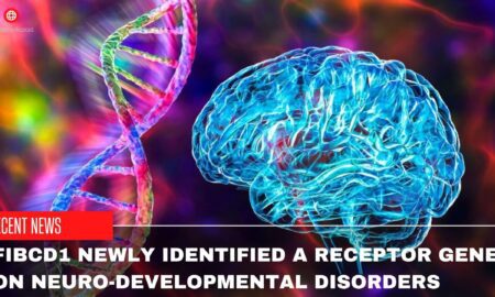 FIBCD1 Newly Identified A Receptor Gene On Neuro-Developmental Disorders