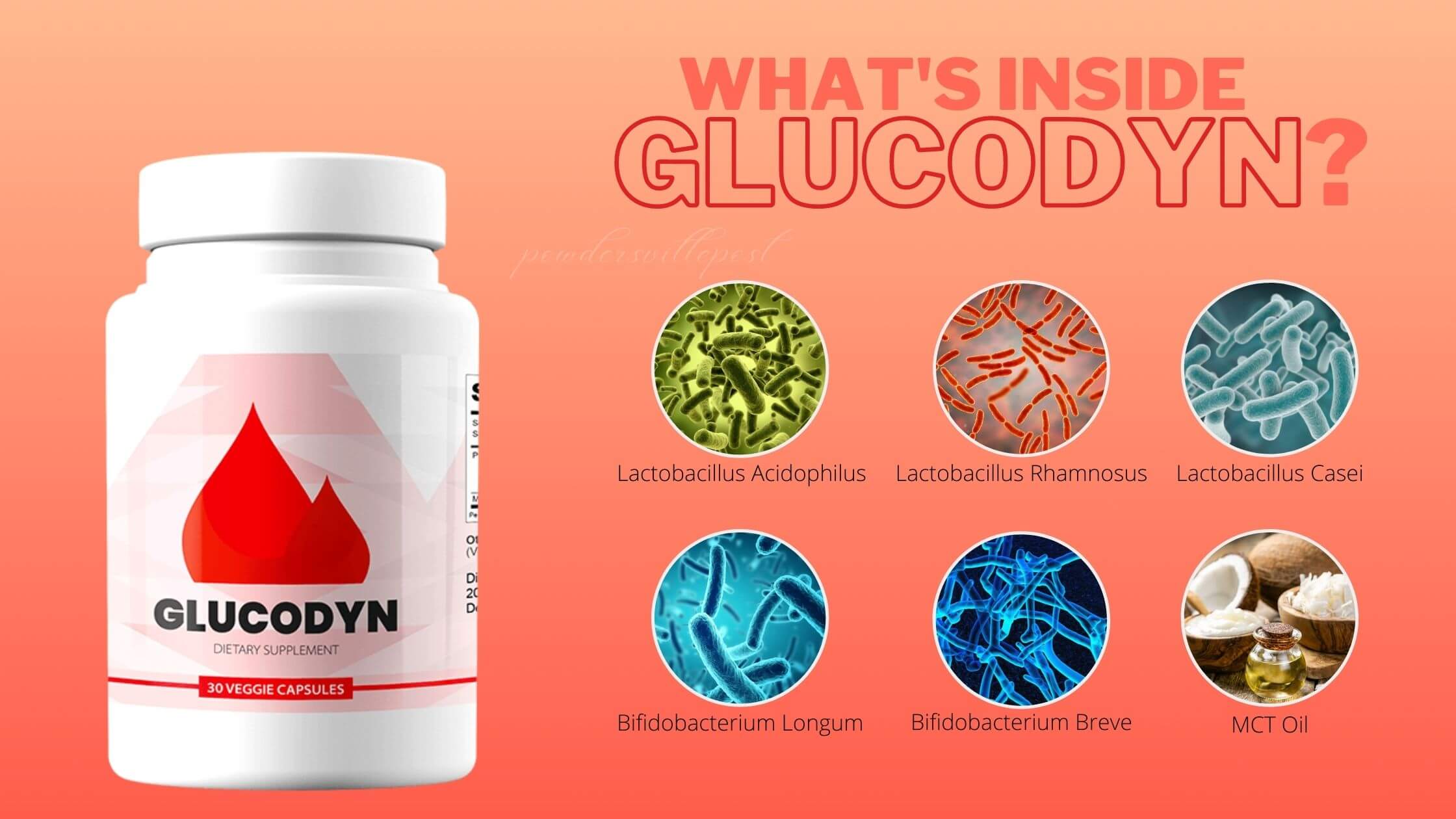 Glucodyn Ingredients