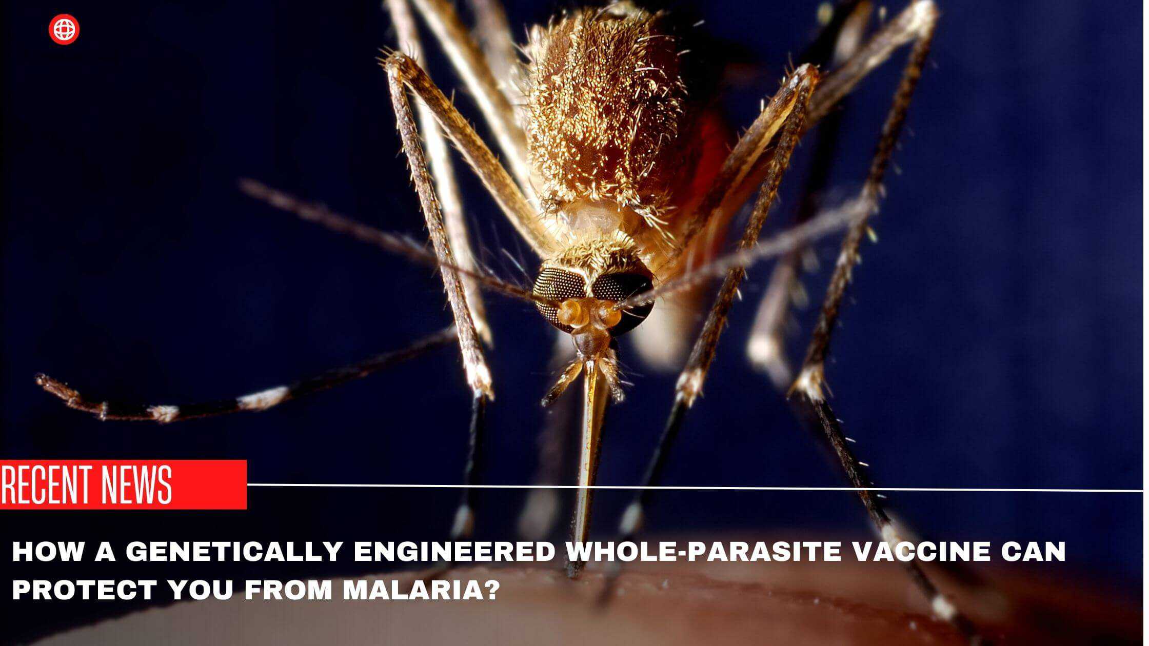 How A Genetically Engineered Whole-Parasite Vaccine Can Protect You From Malaria