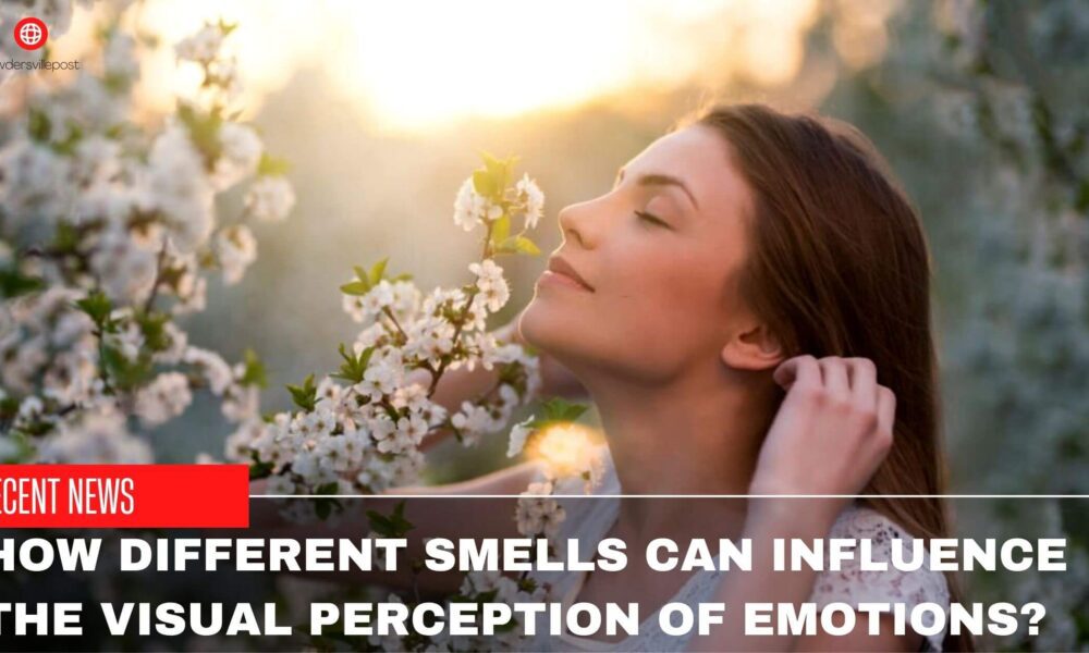 How Different Smells Can Influence The Visual Perception Of Emotions