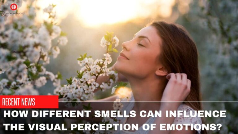 How Different Smells Can Influence The Visual Perception Of Emotions?