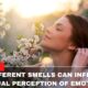 How Different Smells Can Influence The Visual Perception Of Emotions