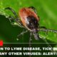 In Addition To Lyme Disease, Tick Bites Can Spread Many Other Viruses Alert