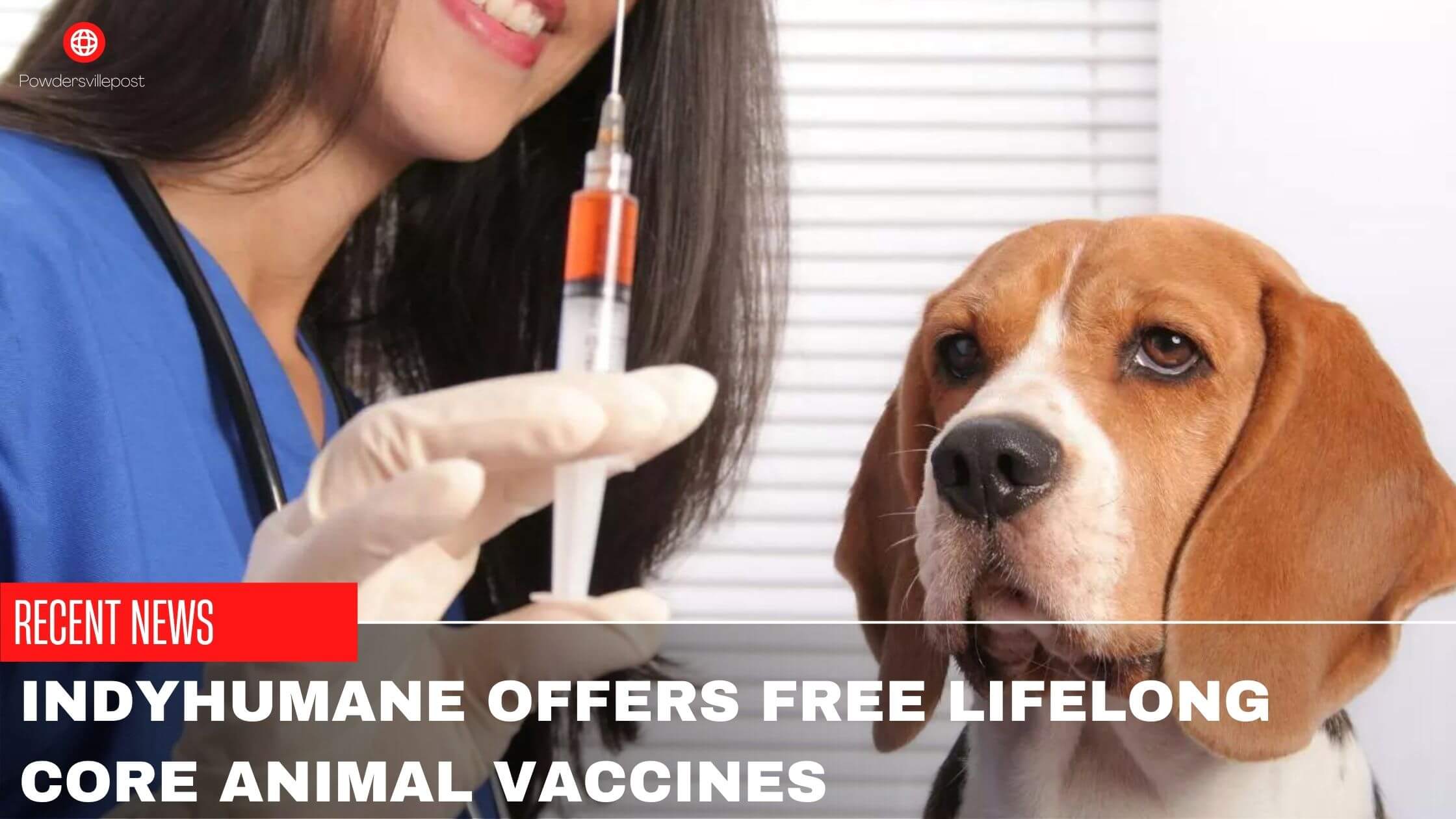 IndyHumane Offers Free Lifelong Core Animal Vaccines
