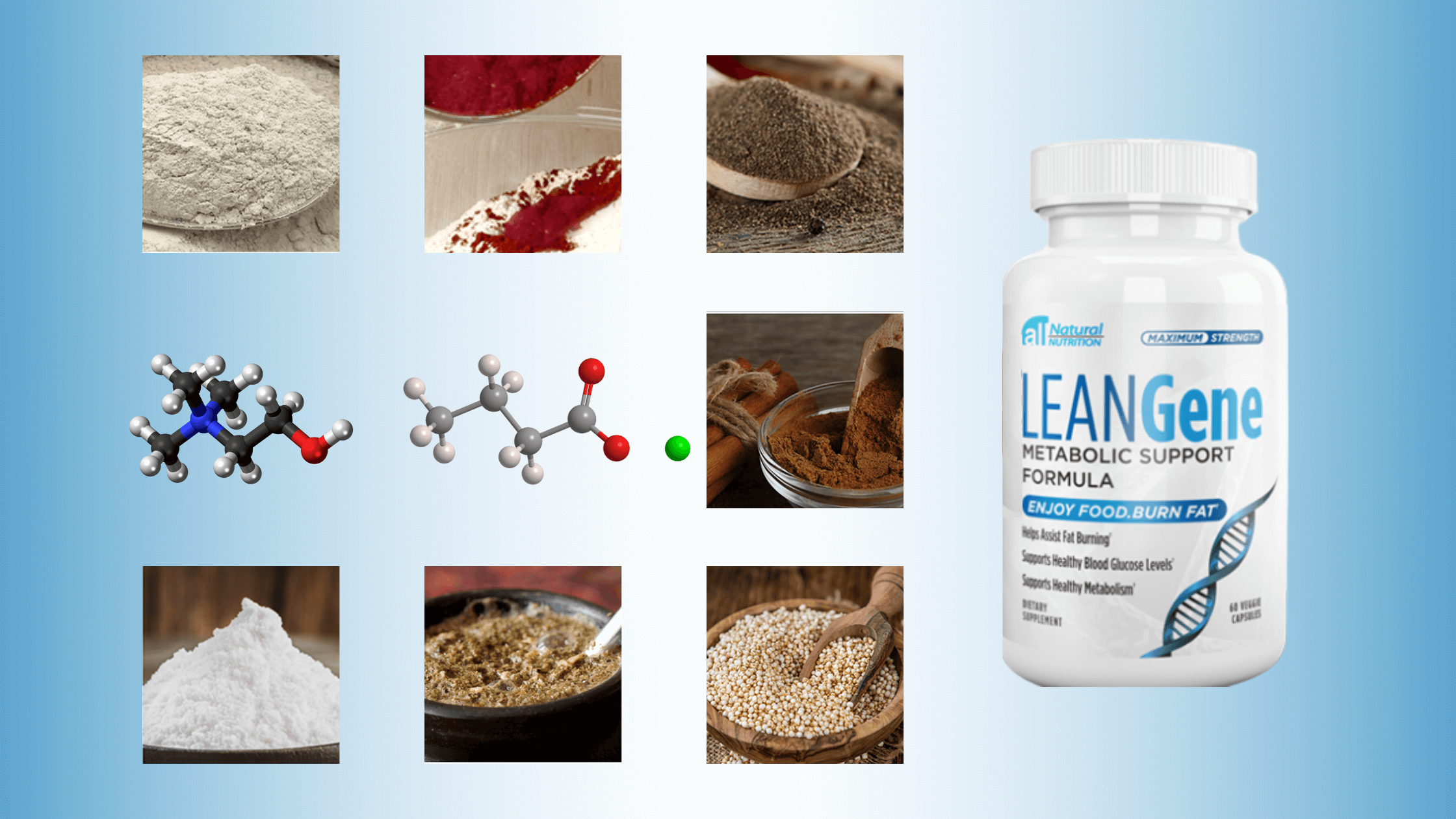 Lean Gene Ingredients