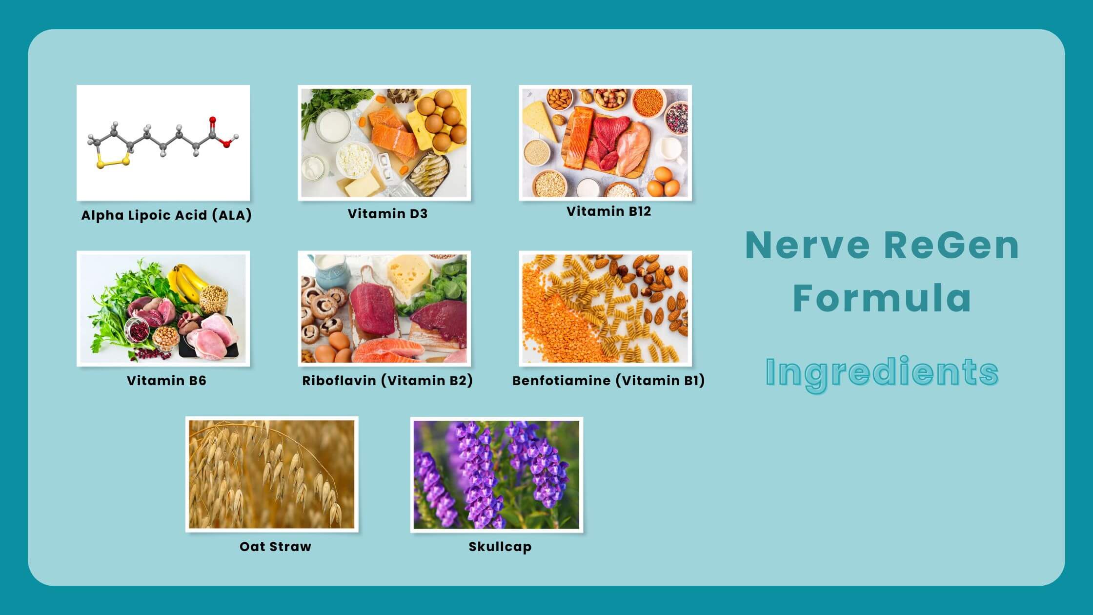 Nerve ReGen Ingredients