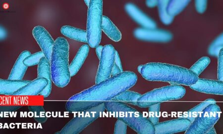 New Molecule That Inhibits Drug-Resistant Bacteria