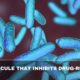 New Molecule That Inhibits Drug-Resistant Bacteria