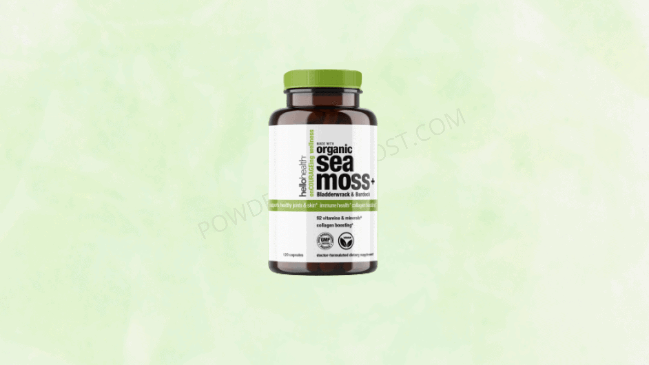 Organic Sea Moss Plus Reviews