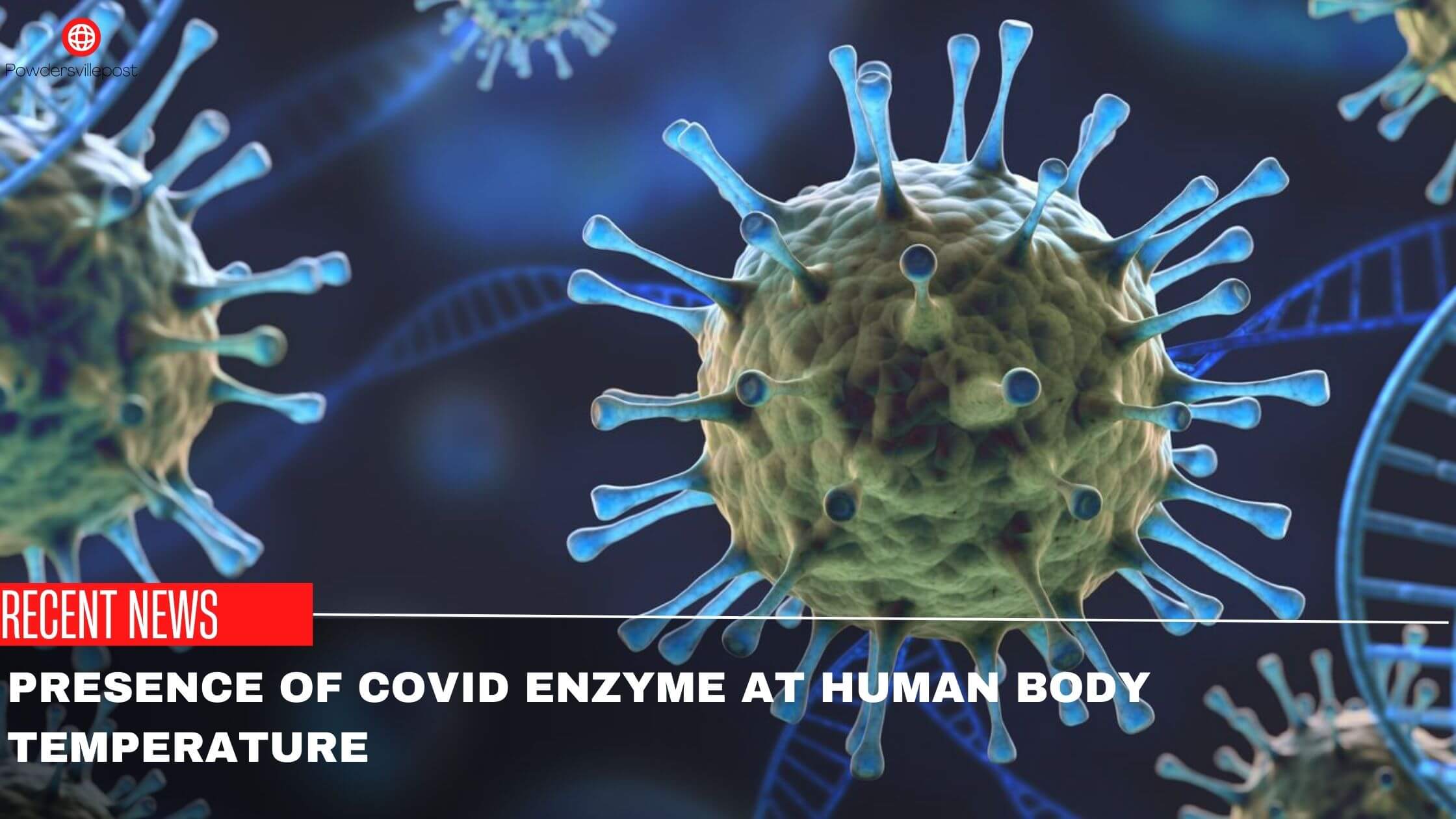 Presence Of COVID Enzyme At Human Body Temperature
