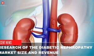 Research Of The Diabetic Nephropathy Market Size And Revenue