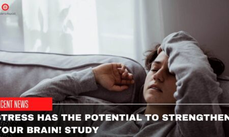 Stress Has The Potential To Strengthen Your Brain! Study