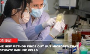The New Method Finds Out Gut Microbes That Activate Immune Cells
