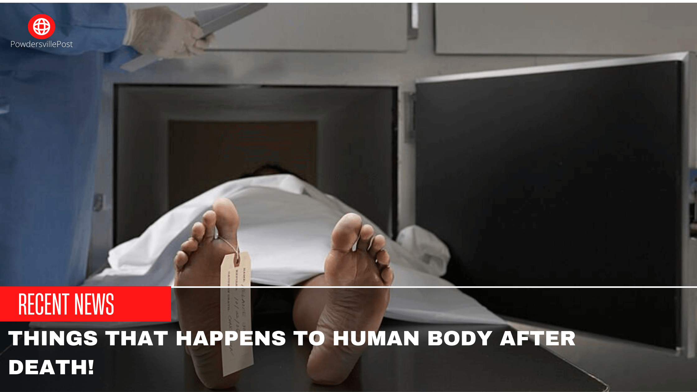 Things That Happens To Human body after death