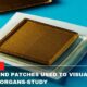 Ultrasound Patches Used To Visualize Your Internal Organs-Study