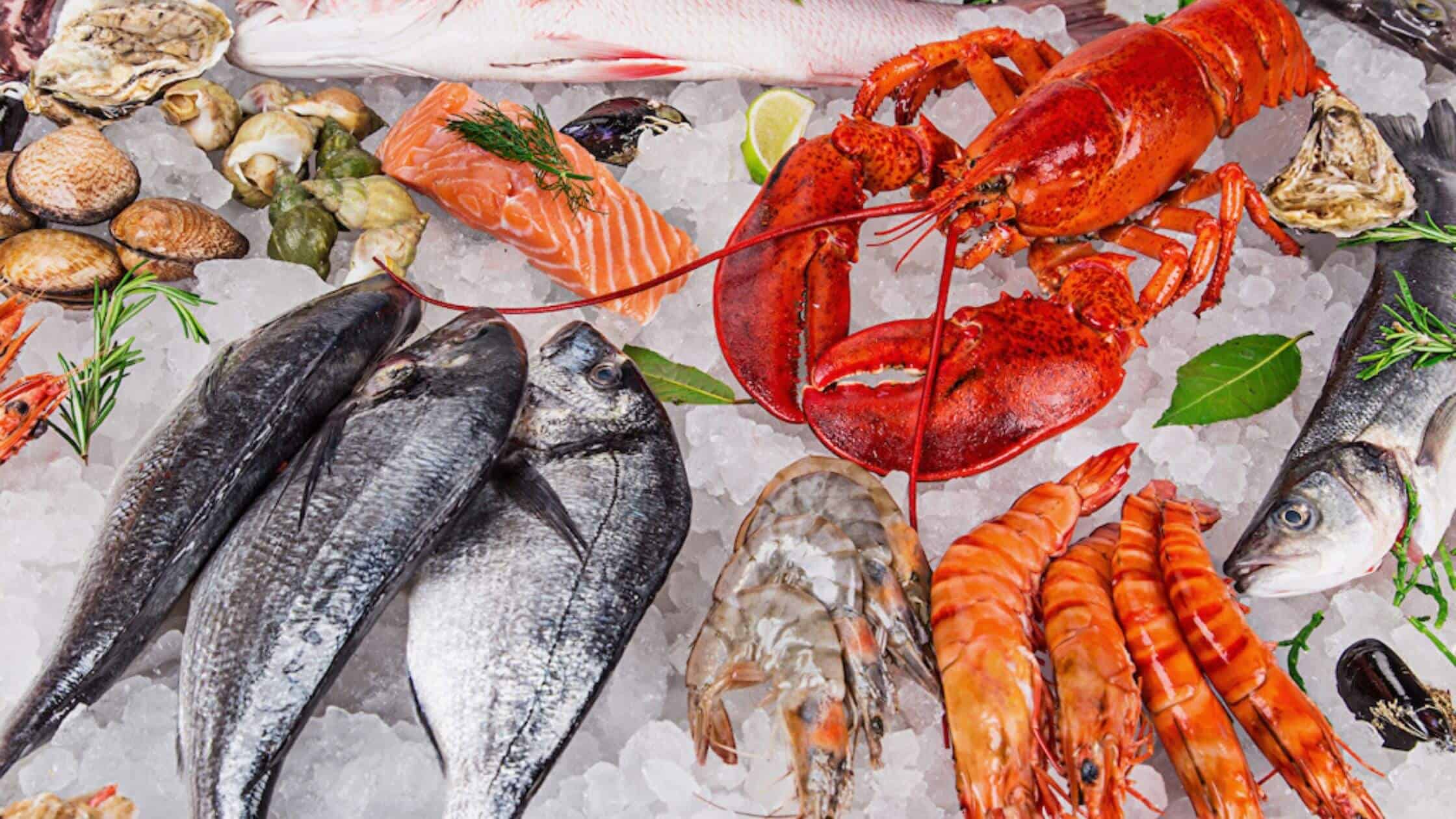 Climate Impacts And Seafood Nutritional Diversity Inform More Accurate Diet Advice