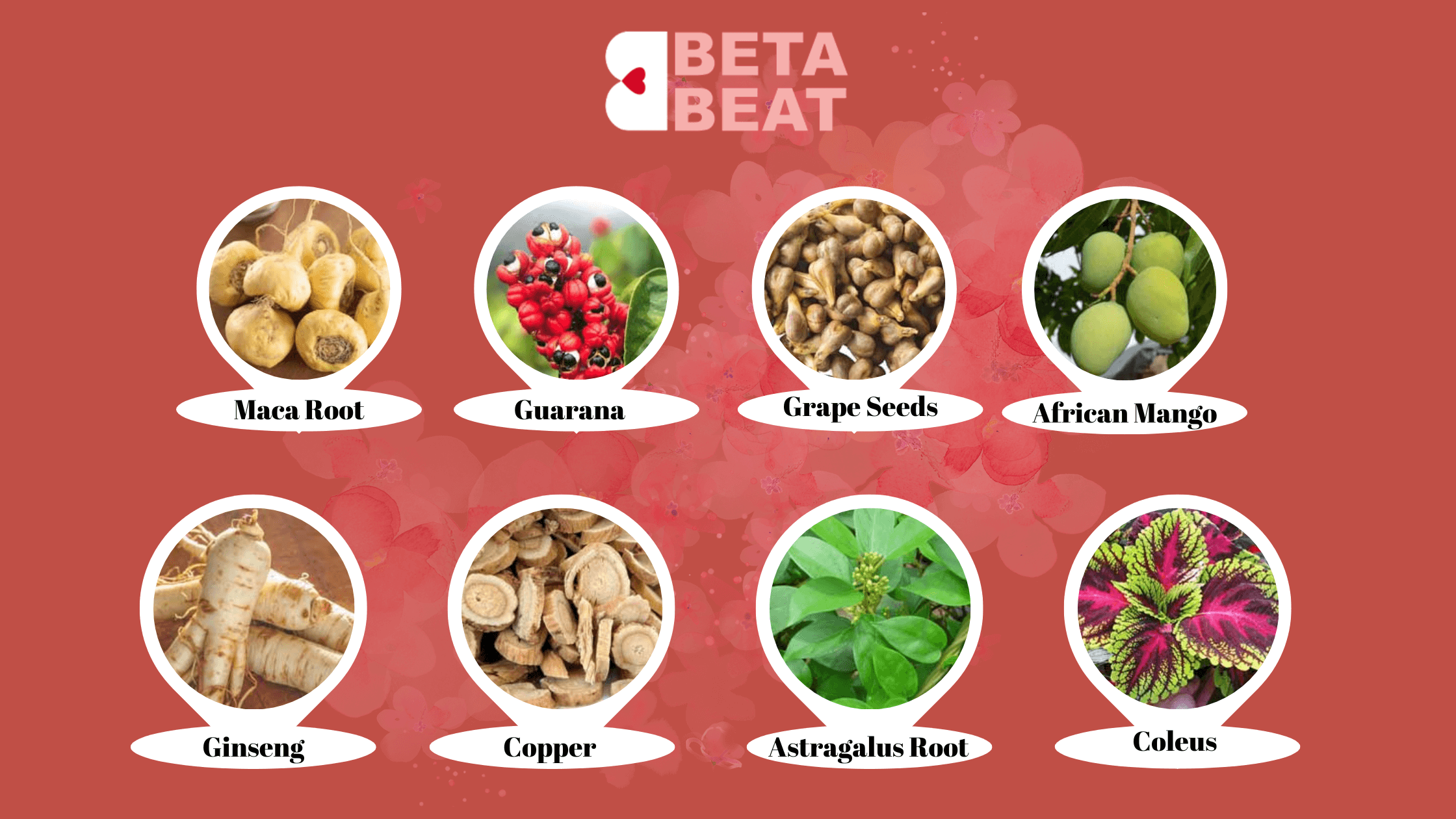 Beta Beat Ingredients