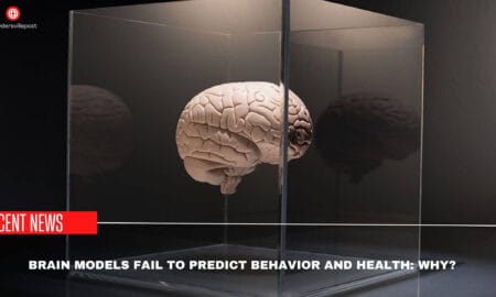 Brain Models Fail To Predict Behavior And Health Why