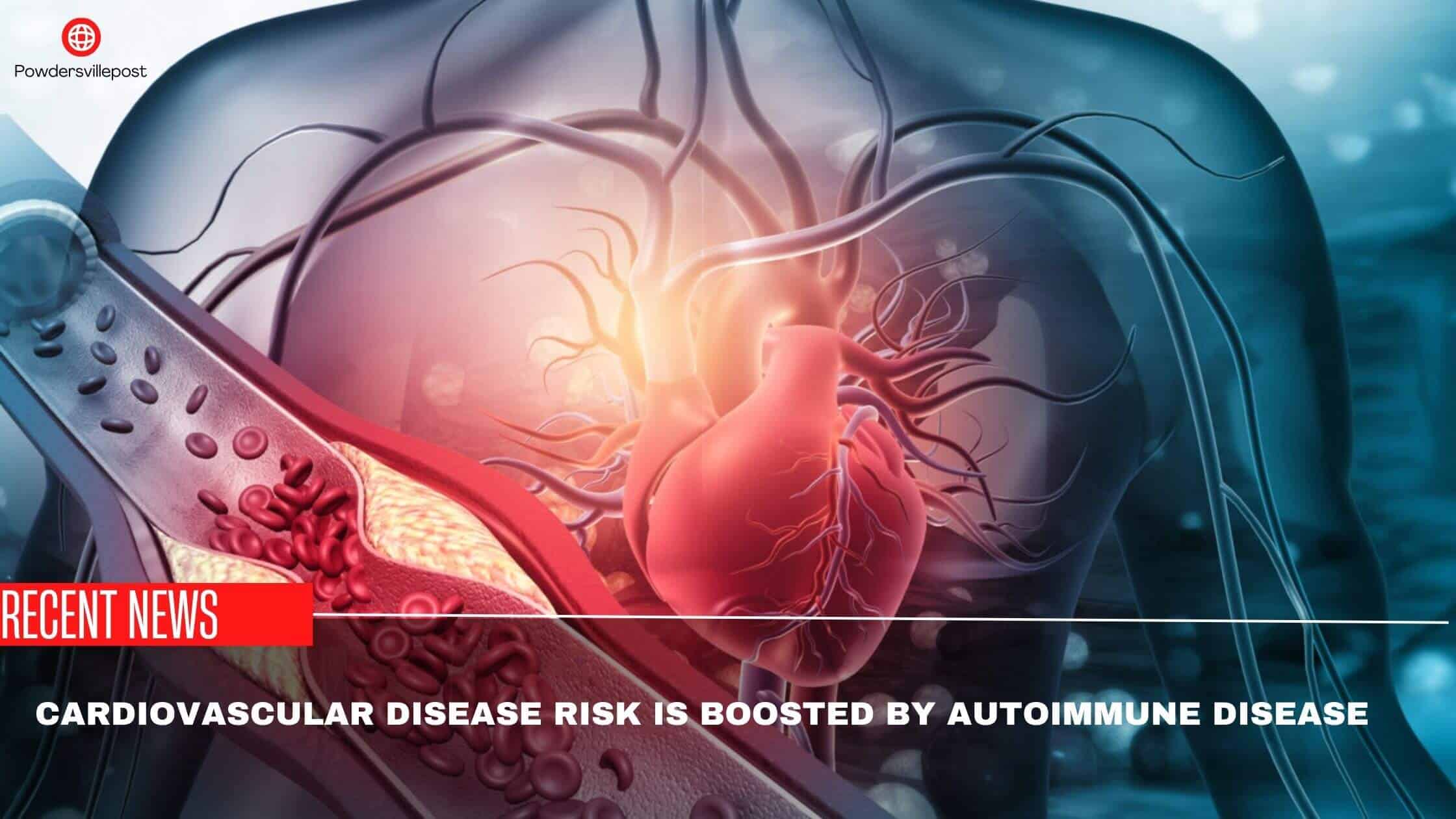 Cardiovascular Disease Risk Is Boosted By Autoimmune Disease