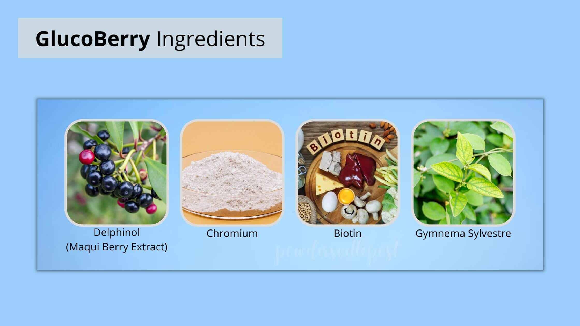 GlucoBerry Ingredients