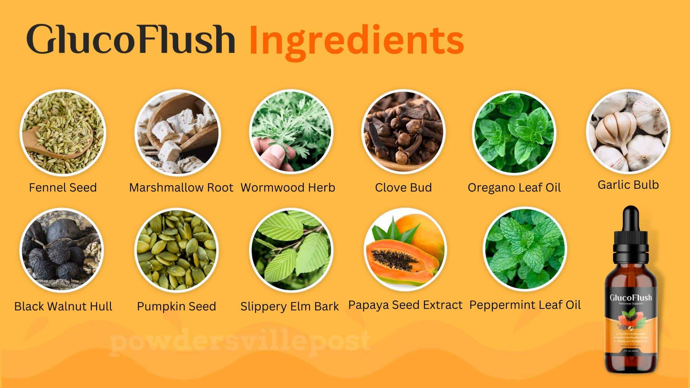 GlucoFlush Ingredients