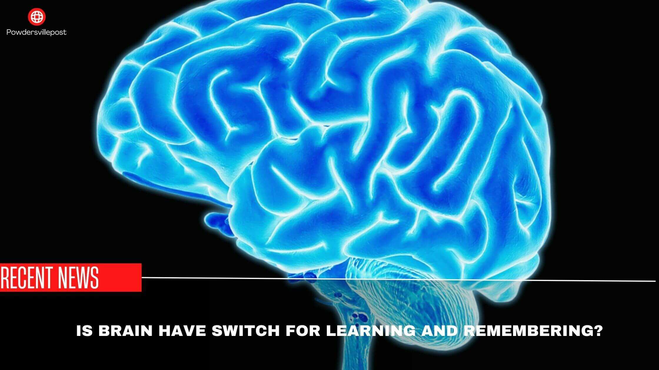 Is Brain Have Switch For Learning And Remembering