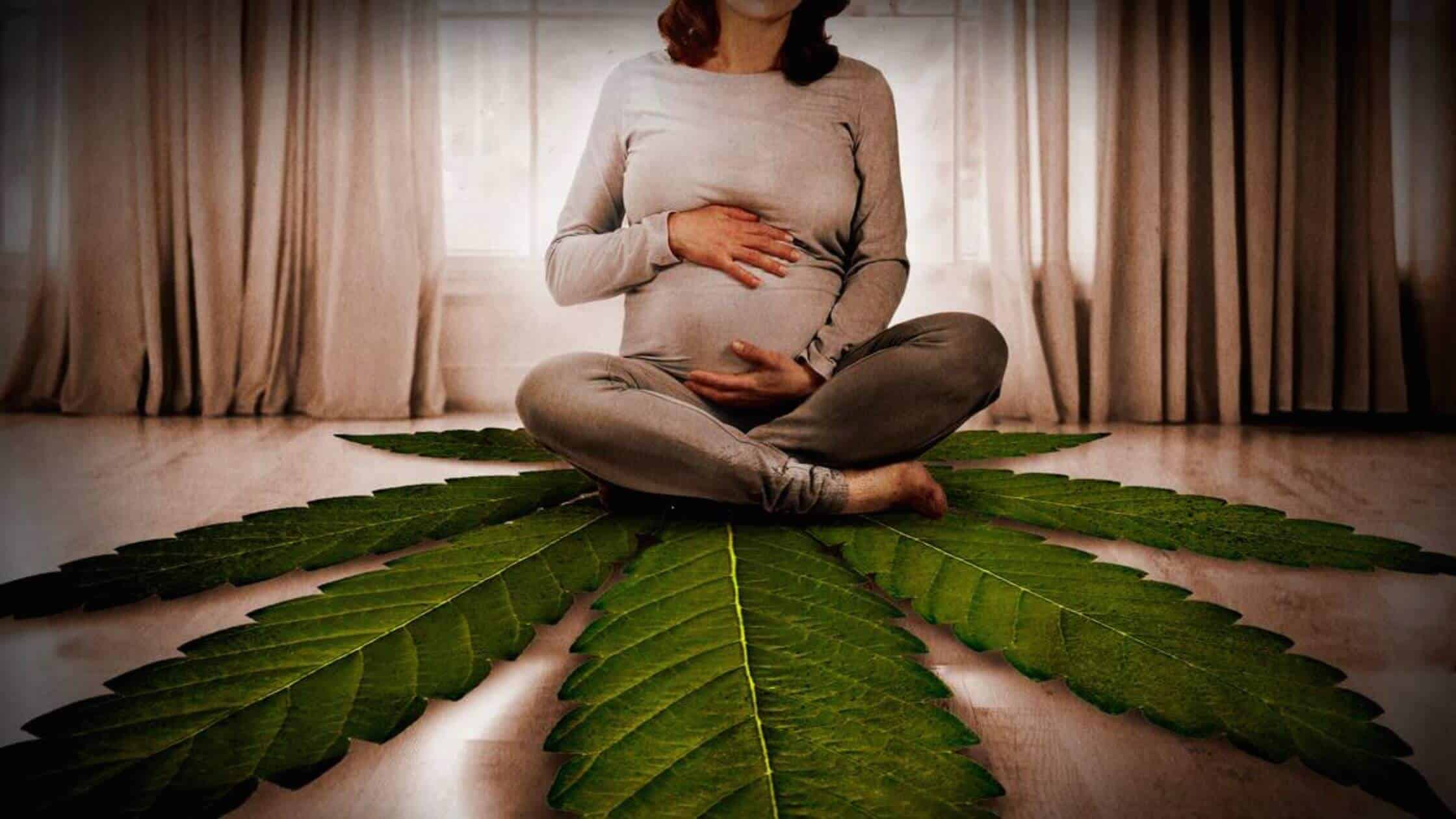 Marijuana Use In Pregnancy Linked To Mental Health Issues In Children