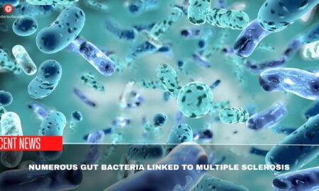 Numerous Gut Bacteria Linked To Multiple Sclerosis- Scientist's Findings