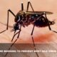 Pasadenans Are Working To Prevent West Nile Virus Infections