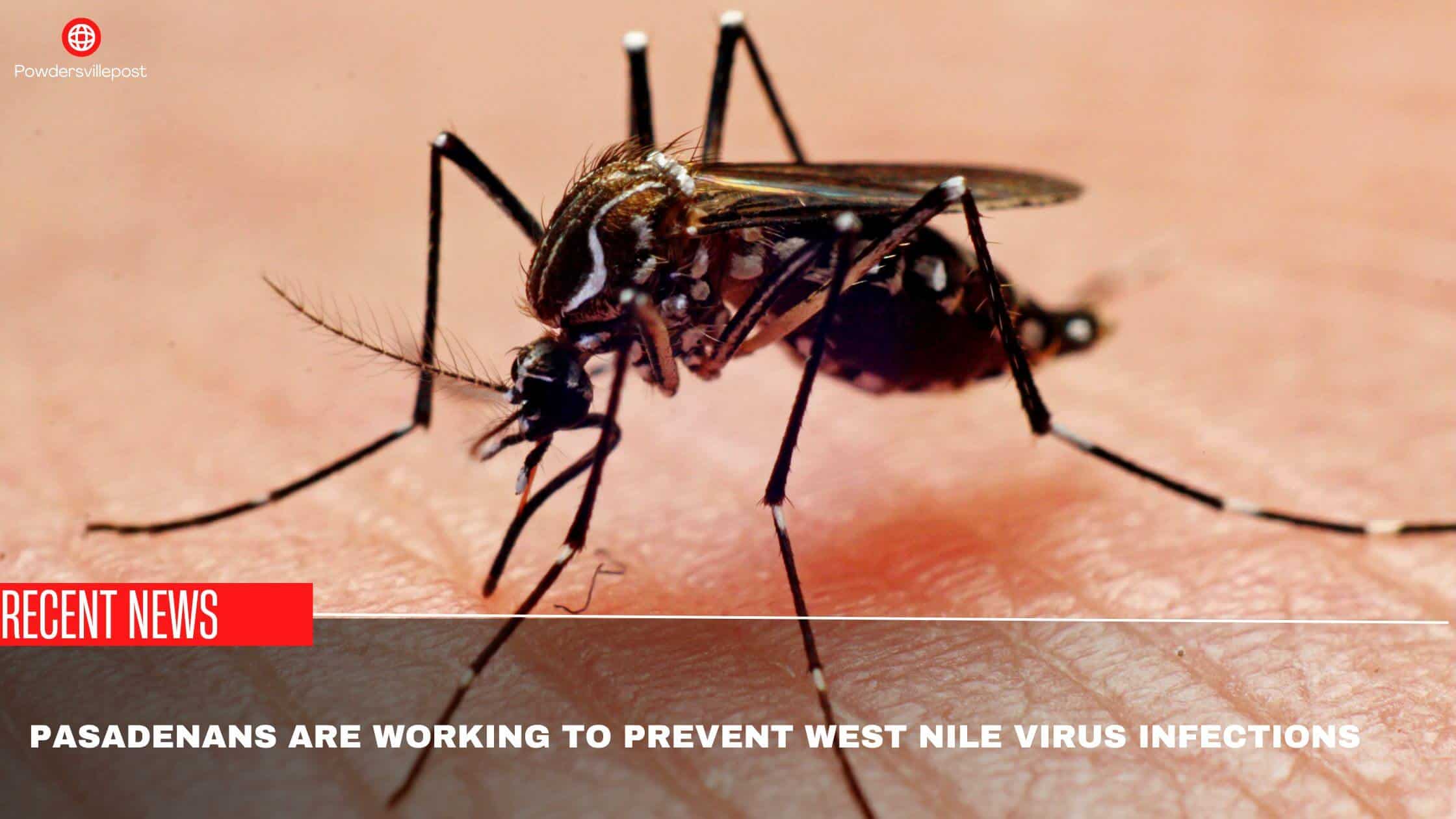 Pasadenans Are Working To Prevent West Nile Virus Infections