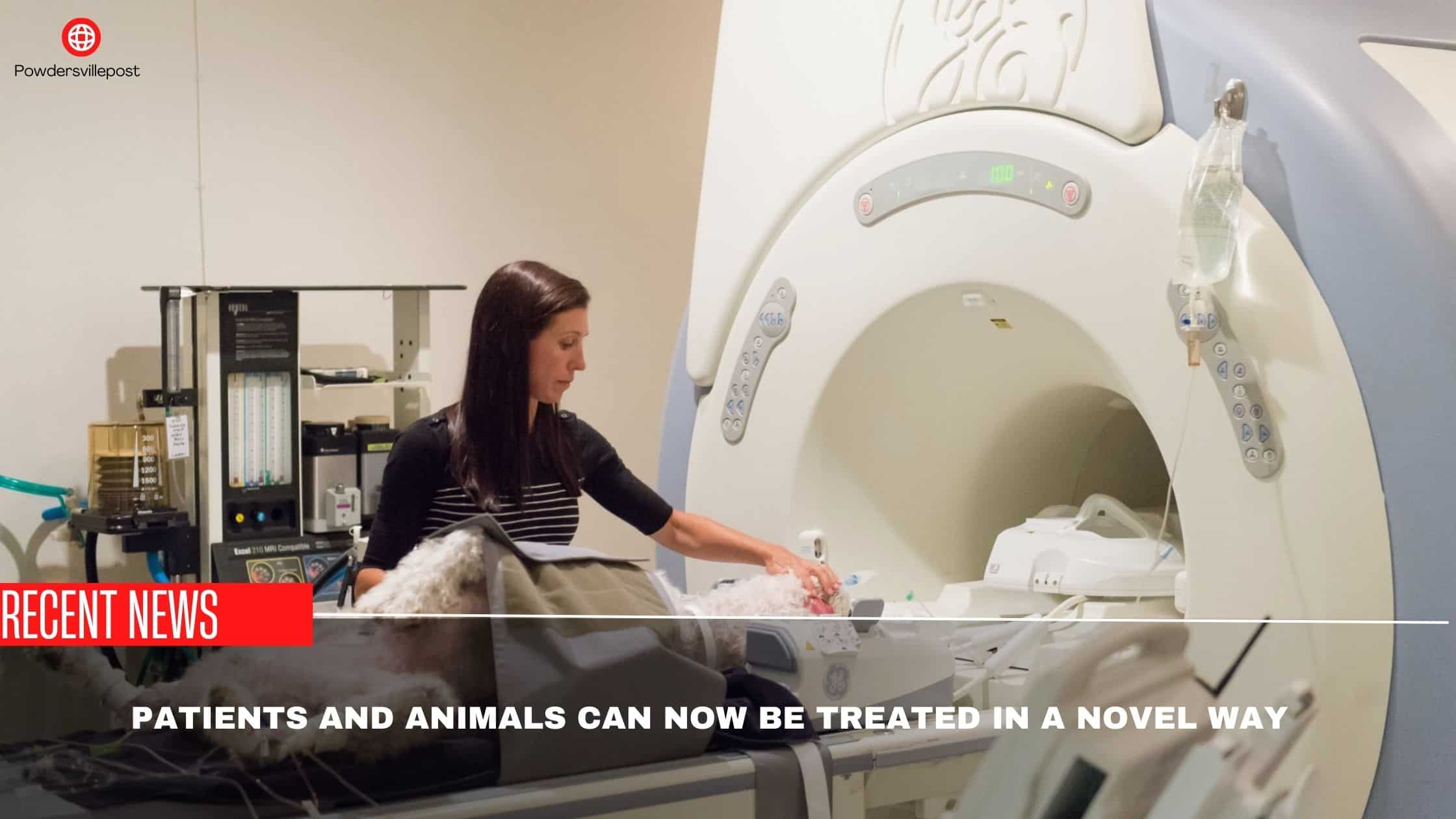 Patients And Animals Can Now Be Treated In A Novel Way