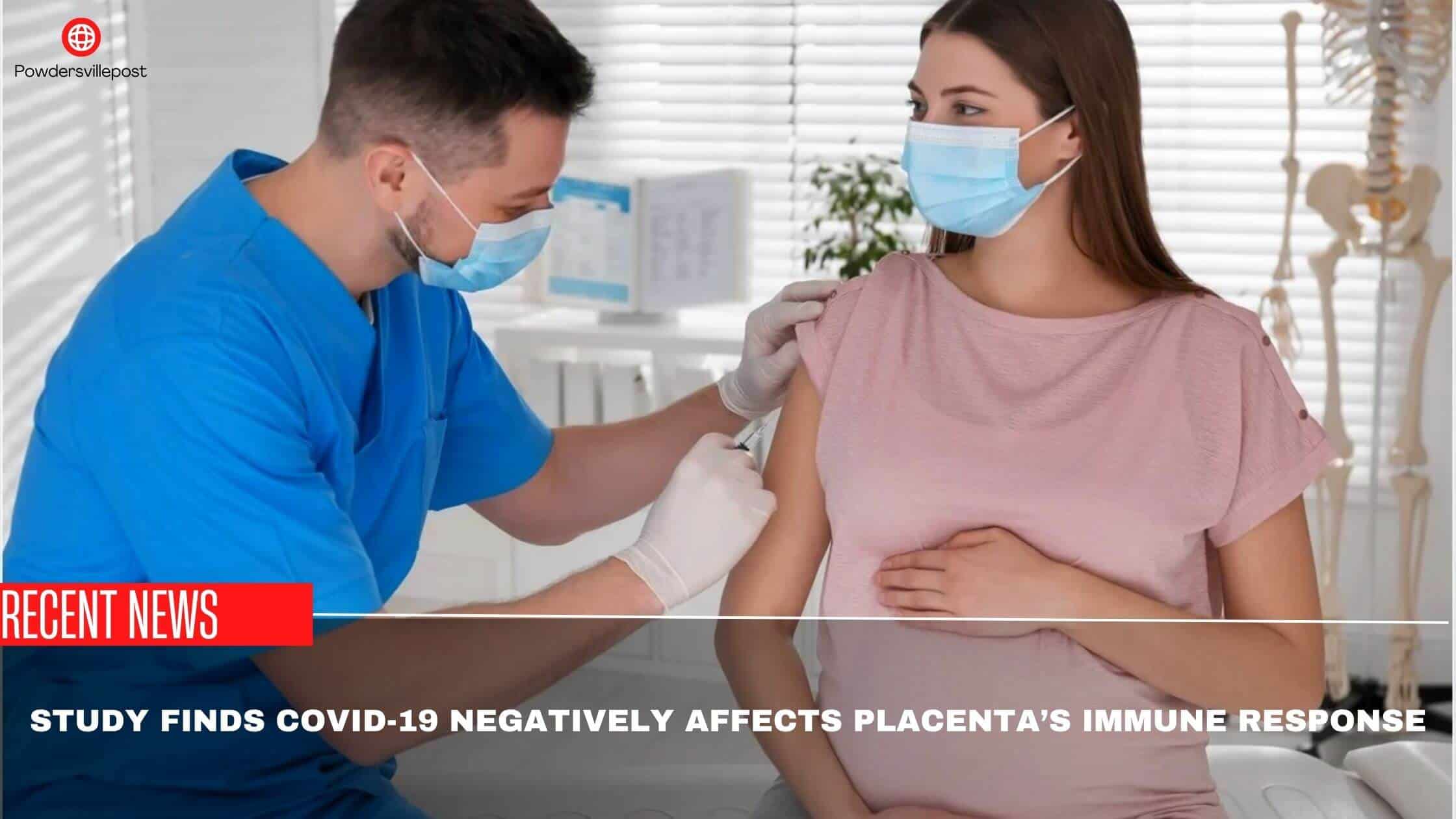 Study Finds Covid-19 Negatively Affects Placenta’s Immune Response
