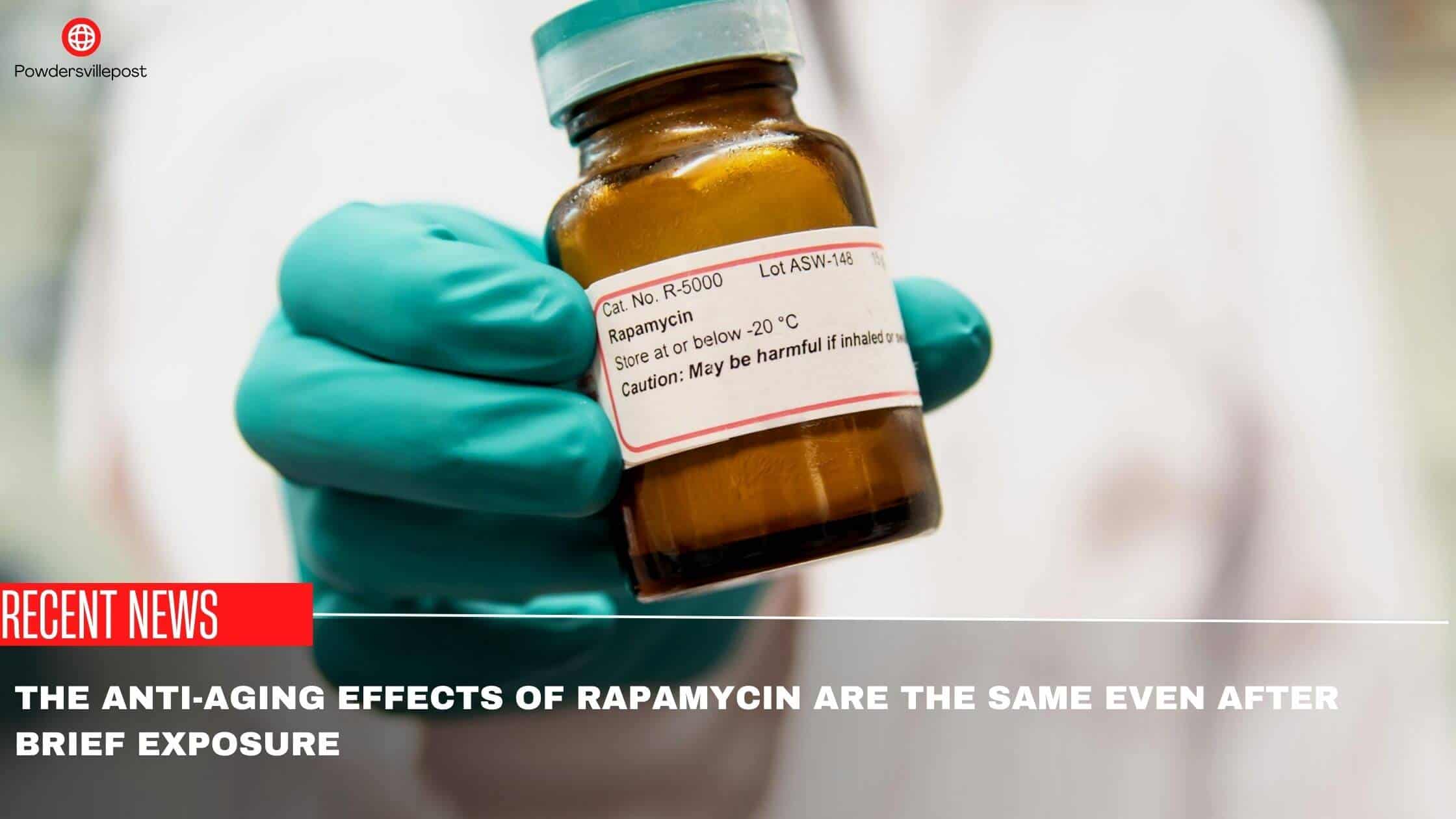 The Anti-Aging Effects Of Rapamycin Are The Same Even After Brief Exposure