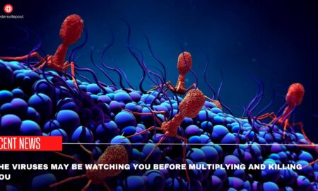 The Viruses May Be Watching You Before Multiplying And Killing You