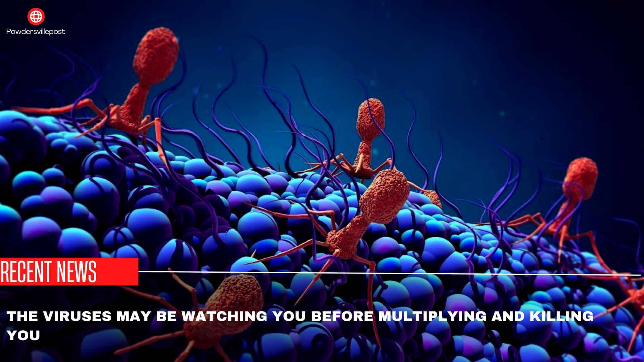 The Viruses May Be Watching You Before Multiplying And Killing You
