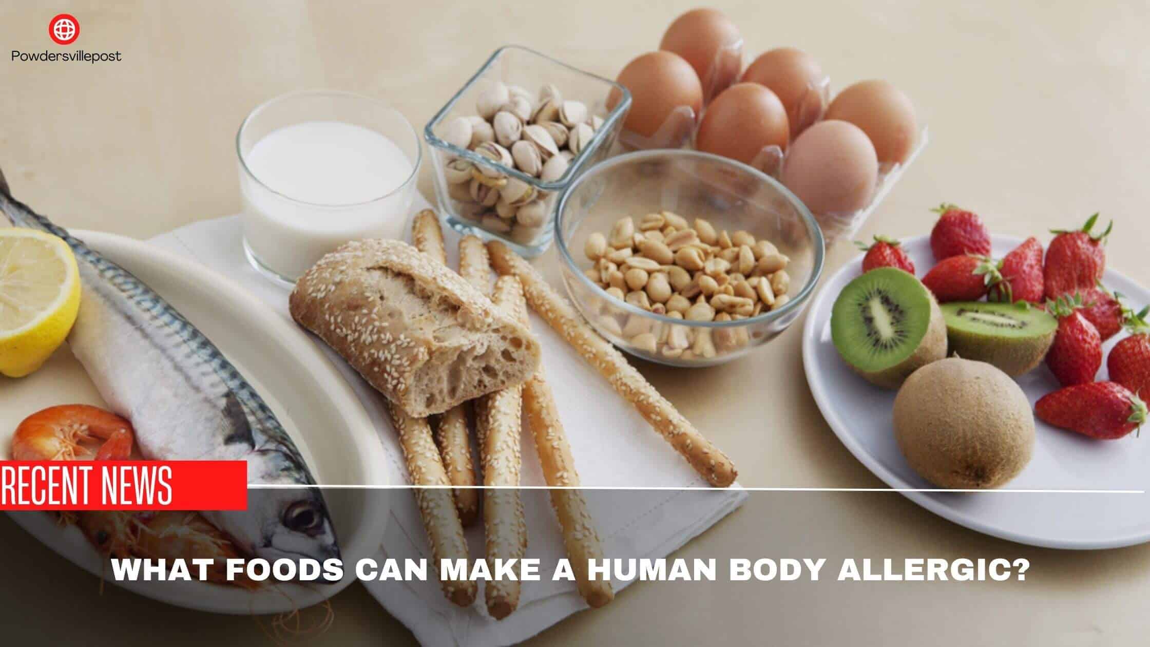 What Foods Can Make A Human Body Allergic