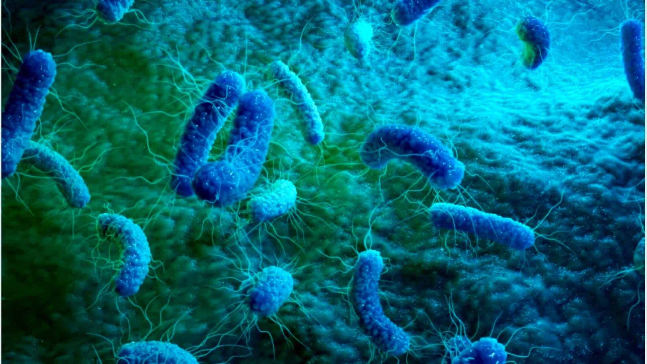 ‘Superbugs’ Becoming Next Global Health Threat